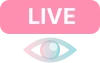 実績3